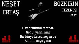 Neşet Ertaş - Nar Tanesi