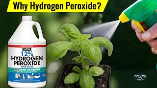 5 Benefits of Using Hydrogen Peroxide In Your Garden | Natural Cures Secret