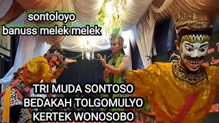 sontoloyo//tri muda santoso,bedakah tolgomulyo kertek wonosobo