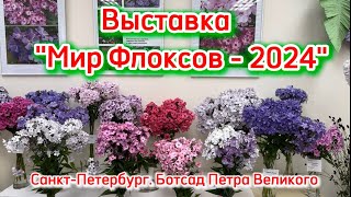 Выставка «Мир Флоксов-2024». Санкт-Петербург. Ботсад Петра Великого