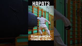 КАРАТЭ: "Прощай, печень!" #karate #martialarts #боевыеискусства #тхэквондо #кикбоксинг #ударыногами