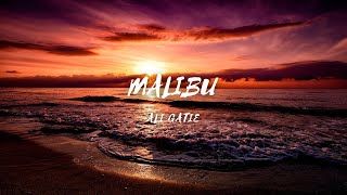 Malibu - Song by - Ali Gatie (lyrics & video) #malibu #aligatie