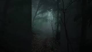 #horror#nature #fog #forest