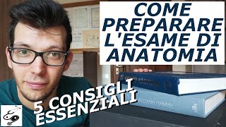 ESAME DI ANATOMIA: 5 CONSIGLI FONDAMENTALI PER SUPERARLO || med pages