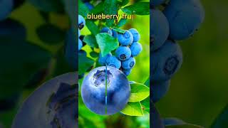 fallen split blueberry fruit!#fruit #funplay #trending #short