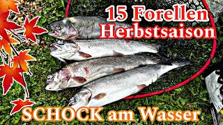 Schock am Wasser Fische drehen durch//Herbstsaison//Hirschalbermühle