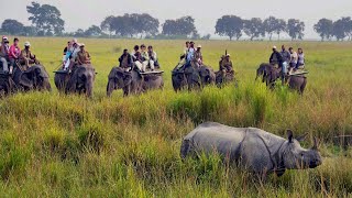 अगर जानवरों को पास से देखना चाहते हैं तो जाएं यहां| Famous National Parks in India| Safari Park