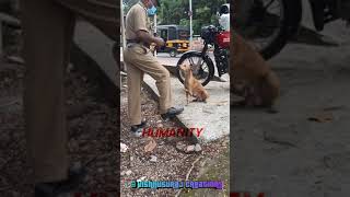 #keralapolice #keralahomeguard #humanity A homeguard giving food to an injured hungry dog. #jaihind