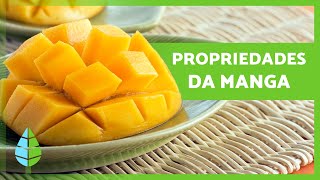 BENEFÍCIOS da MANGA para a SAÚDE 🥭✅ (Propriedades medicinais e para que serve)