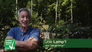 Why Professionals Need STA Certified Compost with Joe Lamp'l