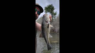 Highlights2022 fishing season! bass fishing bow fishing catfishing. California 2023 hear I come!