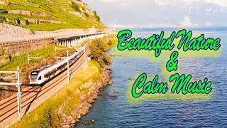 Beautiful Nature with Calm Music Drone Scenes No Copyright free Music Viral Videos - Video Cue