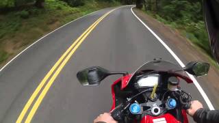 2012 cbr1000rr  walk around review