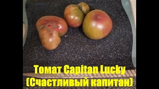 Разрез и дегустация томата биколора Счастливый капитан (Capitan Lucky)