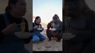 #funny #duet #thelatestfromaroundtheworld #seetheusaon50aday #baby #cute #monkey #wouldyoulookatthat