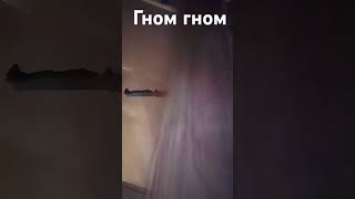 🧙🧙🧙🧙🧙GNOM гном real