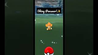 *New* Shiny Pansear 🐵 in Pokémon Go! #shorts #pokemongo Subscribe for more fun videos !