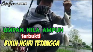 TRIK MANCING NILA AMPUH BIKIN NGIRI TETANGGA #mancingliar #umpannila