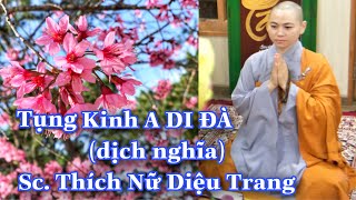 KINH A DI ĐÀ// Sc.DIỆU TRANG// CHÙA TÂM AN // Tại LINH THOẠI THIỀN THẤT- 2021