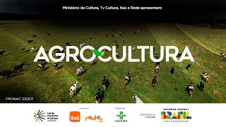 AGROCULTURA | CULTIVO DE MORANGO NO CALOR | 17/11/2024