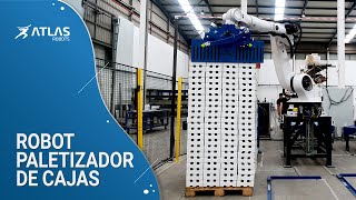 Instalación con 2 brazos robóticos que atrapan 16 cajas simultáneamente