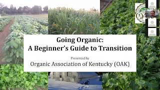 Going Organic: A Beginner's Guide to Transition