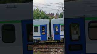 Pociąg EU160 GRIFFIN PKP intercity IC Zosia Niedaleko stacji Łódź Chojny i trąbienie #trainspotting