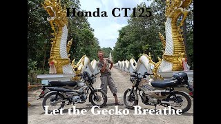 Honda CT125   Let the Gecko Breathe