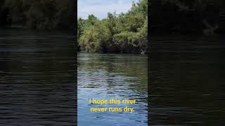 Floating the Salt River (Part 3) #shorts #rivers