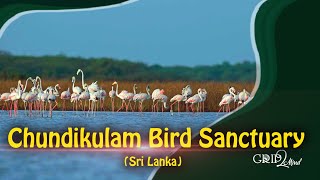 Chundikulam Bird Sanctuary | Jaffna | Sri Lanka | Grip2Mind VLOG 16