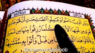 Surah Al_Baqara 25_29 / سورة البقرة آيات ٢٥_٢٩ / Quran / Tilavat / تلاوة جديدة / قرآن  / Ahmad Sadiq