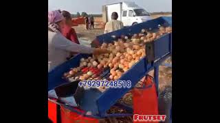 Лук репчатый фасовка Краснодар 2021.Фрутсеть 🍐🍎