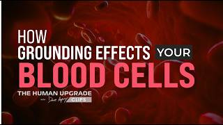 Grounding: The Secret to Healthier Blood Cells? | Clint Ober x Dave Asprey