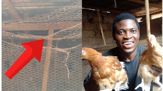 watch this video before building your chicken house|chicken farming|layers farming.