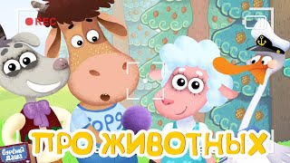 Бурёнка Даша🐮Где живут звери? | Развивающие песни для детей