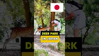 Japanese deer park 🦌 🇯🇵