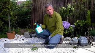 How to Treat Dandelions on Hard Surfaces | Videos | Roundup Weedkiller