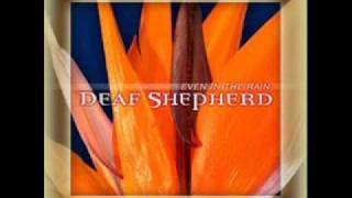 'Even in the Rain' ~ Deaf Shepherd