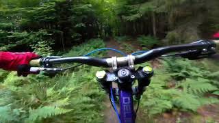 Bethlehem NH Enduro trails. Shoulder Roll and Into The Wild