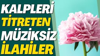 KALPLERİ TİTRETEN MÜZİKSİZ İLAHİLER | EY DÜNYAYA GELEN İNSAN GİDENLERİ GÖRMEZ MİSİN