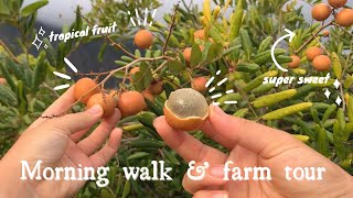 Morning walk & farm tour ❥ O'ahu, Hawaii