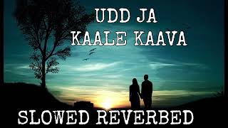 Udd Jaa Kaale Kaava (Slowed + Reverbed) | Gadar 2 | Sunny Deol, Ameesha | Udit N, Alka Y | Lofi Mix