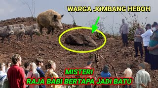 BLUSUKAN VIRAL❗Warga tidak berani singkirkan batu babi takut kebawa mimpi.