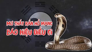 PHONG THỦY 24H | Mơ thấy Rắn Hổ mang báo hiệu điềm gì?