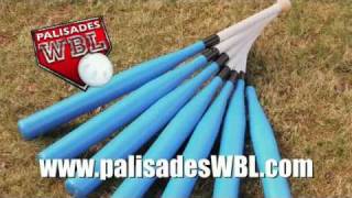 Wiffle Ball The GTSOH Bat