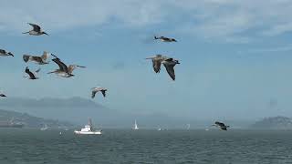 Fleet Week Rehearsal