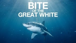 Bite of the Great White! (Shark Week remix)