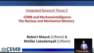 CEMB and Mechanointelligence: Nucleus and Mechanical Memory