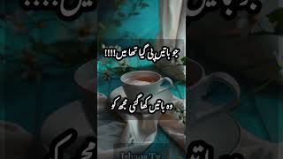 Urdu poetry | جو باتیں پی گیا تھا میں وہ باتیں کھا گئی مجھ کو