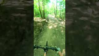 Fast And Flowy Trails At Greek Peak #downhill #mtb